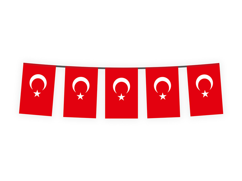 Bamsz Trkiye Partisi Bayra
