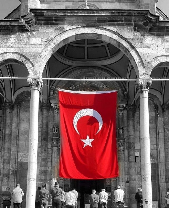 Engelsiz Trkiye Partisi Bayraklar