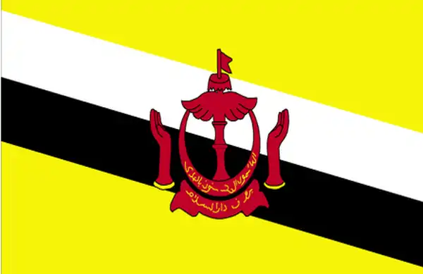 Brunei Bayra