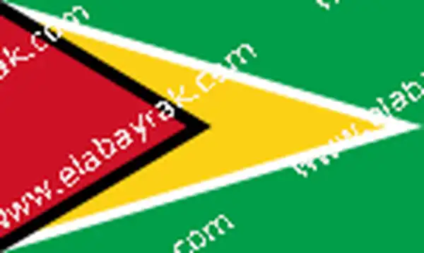 Guyana bayra 