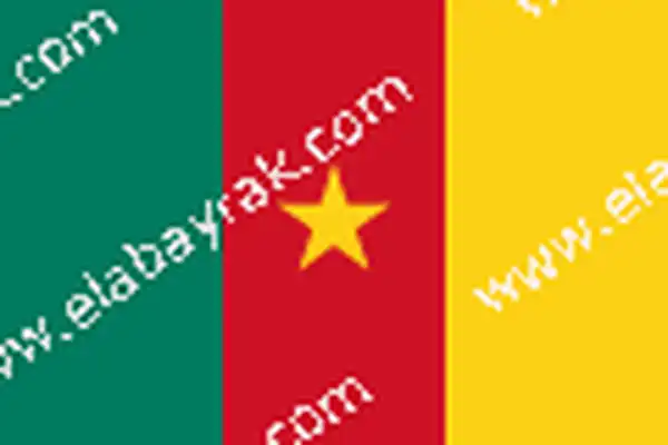 Kamerun bayra 