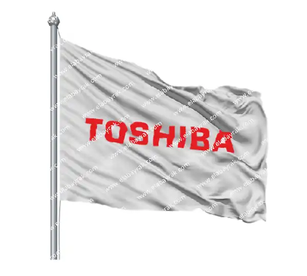 Toshiba Gnder Flamas