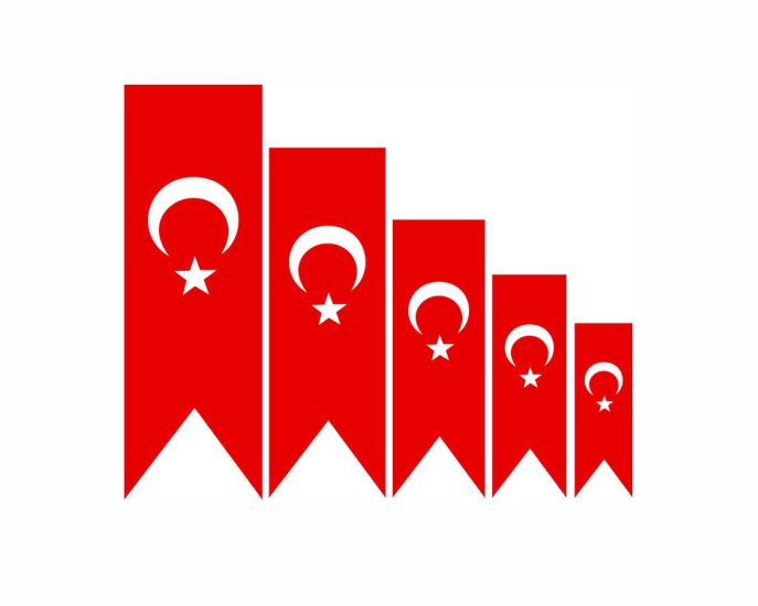 Trkiye Deiim Partisi Bayraklar Nedir