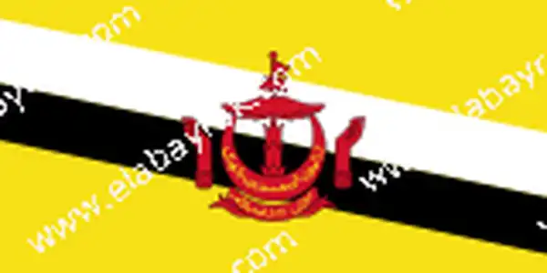 Brunei bayra 