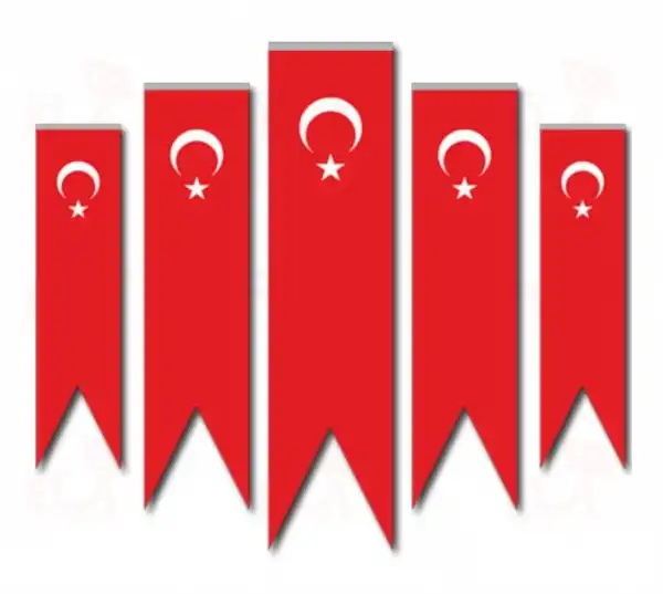 75x300 Kırlangıç Türk Bayrağı