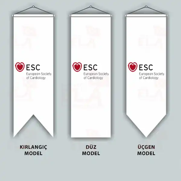 European Society Of Cardiology Krlang Flamalar Bayraklar