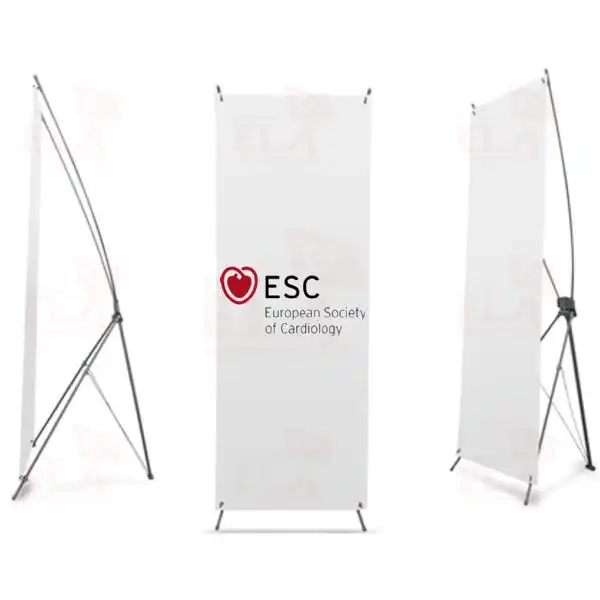European Society Of Cardiology x Banner