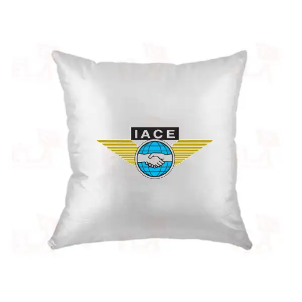 International Air Cadet Exchange Association Yastk