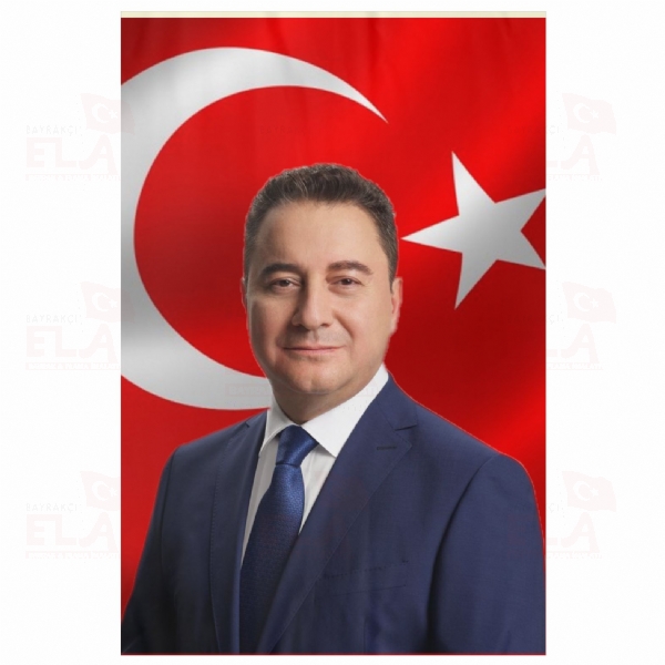 Ali Babacan Resimleri