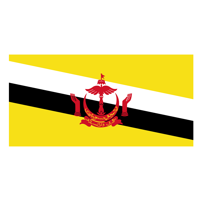 Brunei Bayra