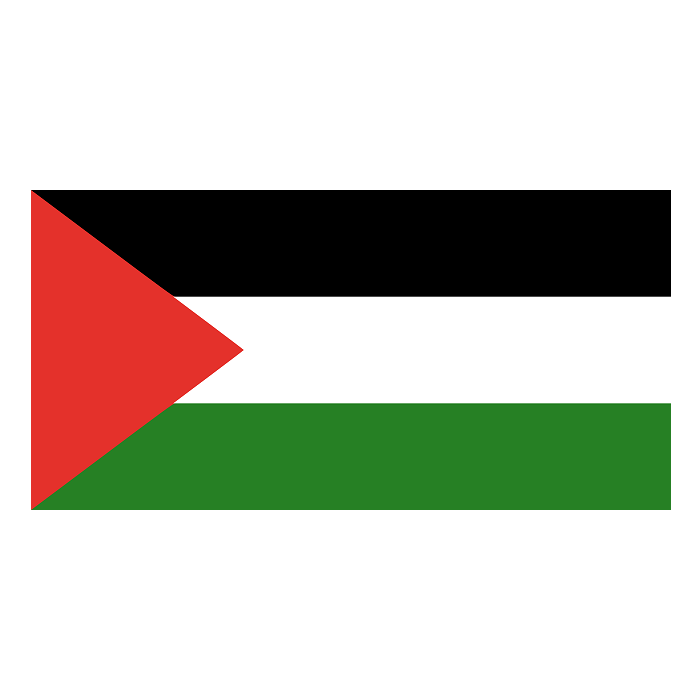 Filistin Bayrak