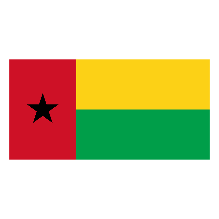 Gine Bissau Bayrakları