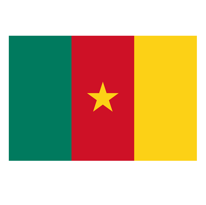 Kamerun Bayrak