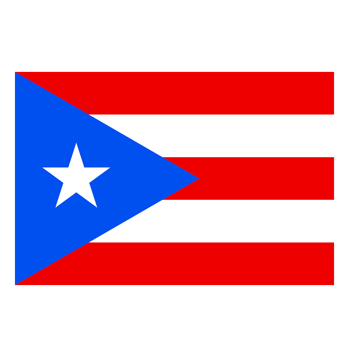 Porto Riko Bayrak